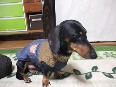 服だってあるぞ~