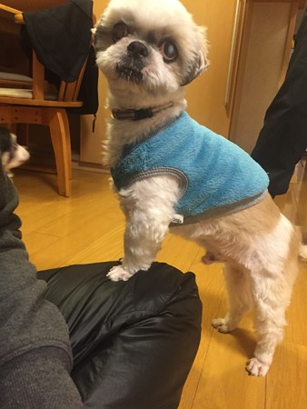 ちょっと遊んでください♪