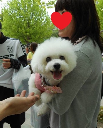 可愛すぎるぞ、p-ちゃん