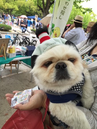 殿様バージョン