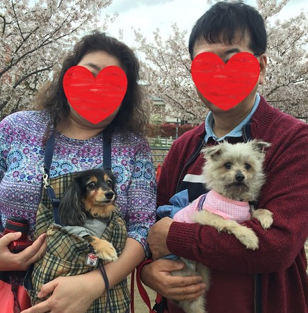 小希に家族が出来ました!