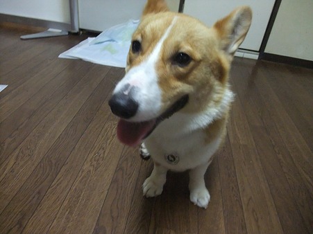幸太、久しぶり!