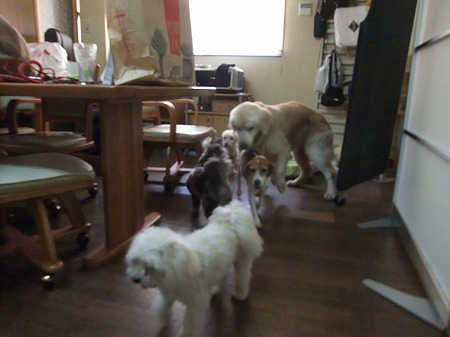 追いかけ続けるライフ・・・