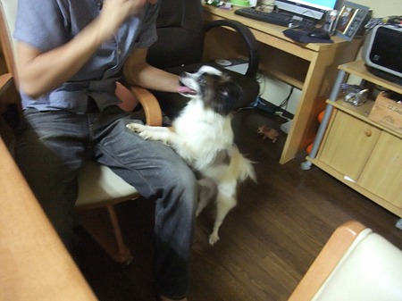 人大好き~♪