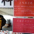 鬼怒川温泉春節祭