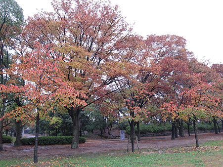 大坂城・西の丸庭園 - 04