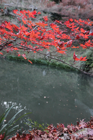 円通寺 - 02