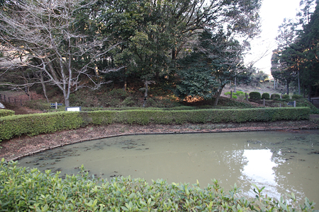 山中城・田尻の池 - 017