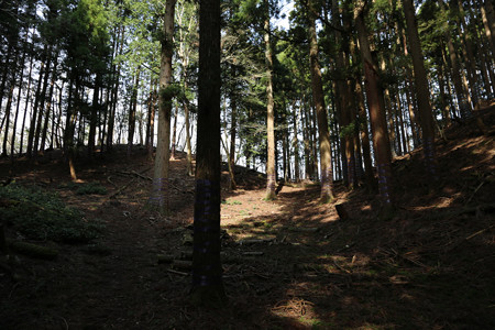 西山城 - 02