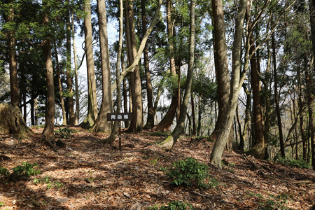 西山城 - 08