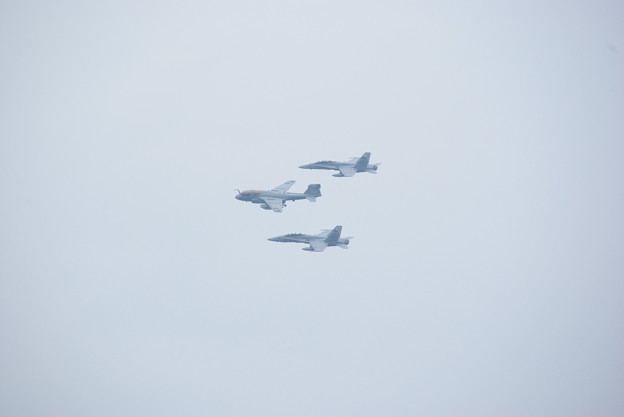 IMGP5986