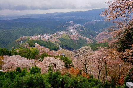 吉野山展望台からの眺め