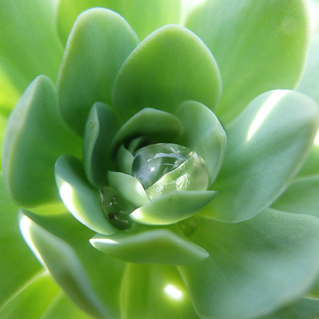 DSCF8544