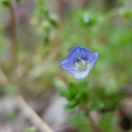 DSCF8997