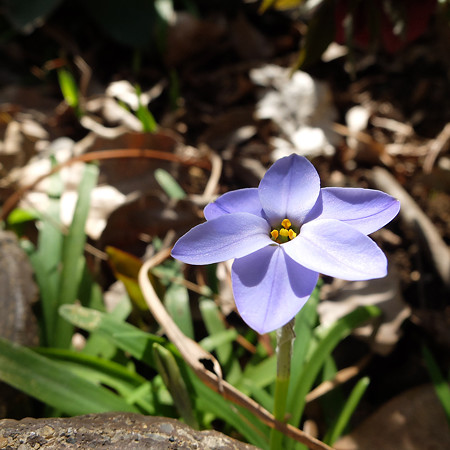 DSCF8860