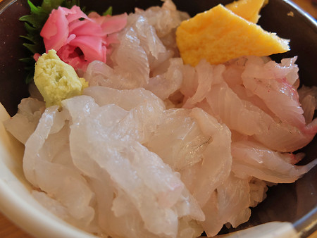 DSCF9504