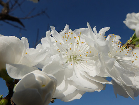 DSCF0176