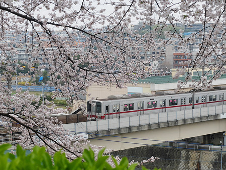 DSCF0214