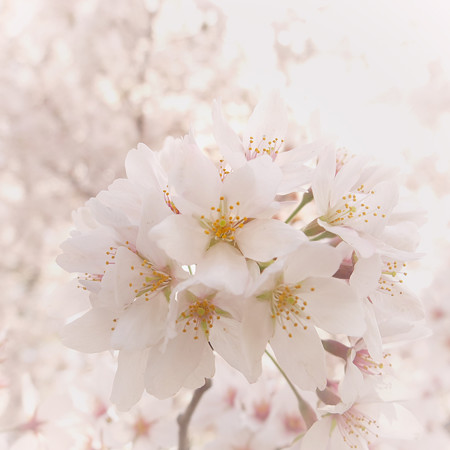 DSCF0632