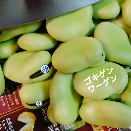 DSCF5343