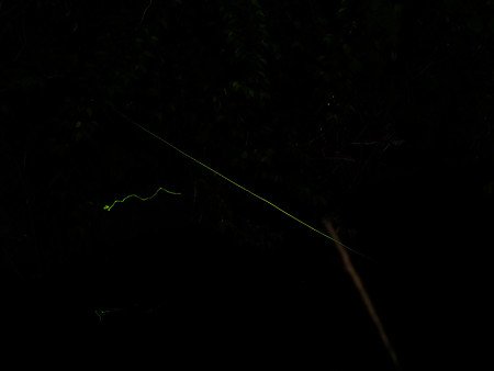 DSCF2038