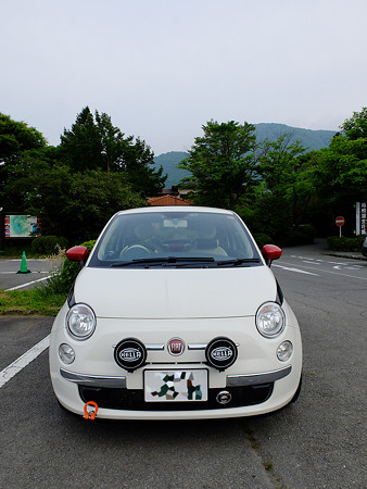 DSCF5645