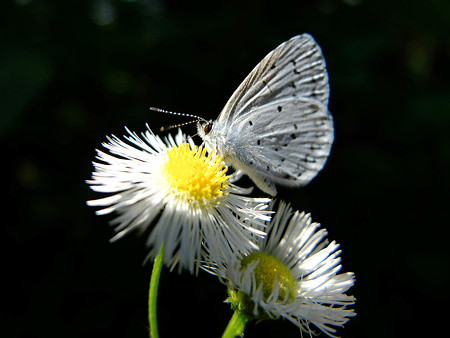 DSCF5749