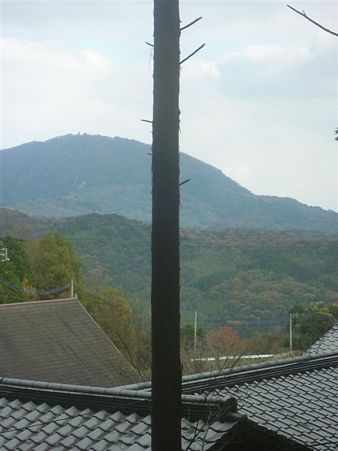 P1070332