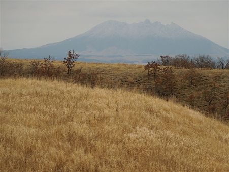 DSCN0617
