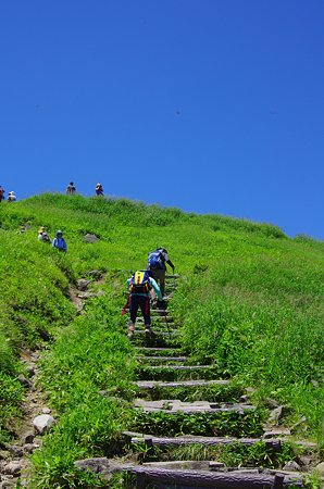 IMGP1831