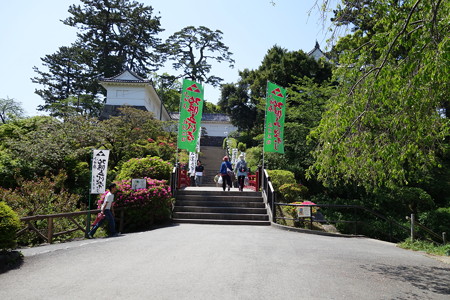DSC00698