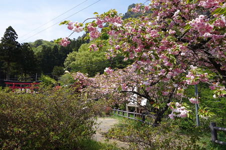 DSC00903
