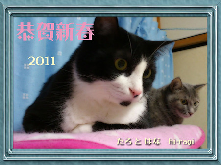 恭賀新春