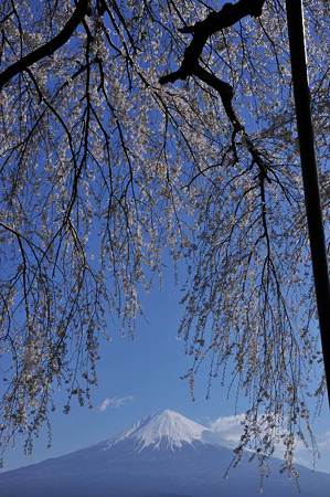 富士フィルム傍2