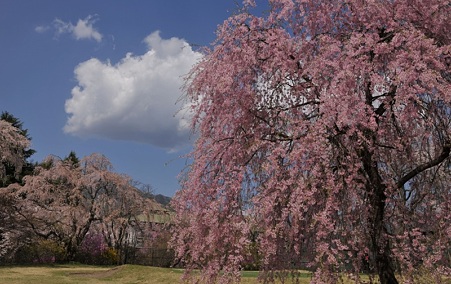富士ビューホテルゴルフ7