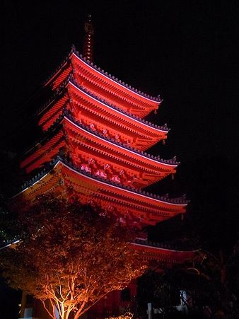 111105_ライトアップウォーク05