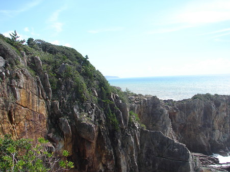 DSC05578