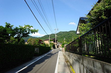 1106231754_DSC_2677