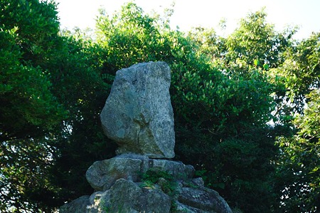 1107120726_DSC_5421