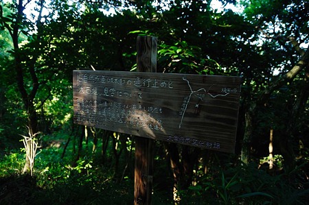 1107120742_DSC_5481