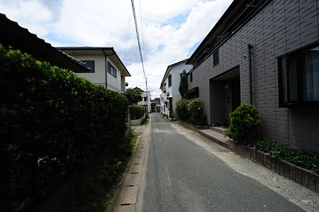 1107121247_DSC_3126
