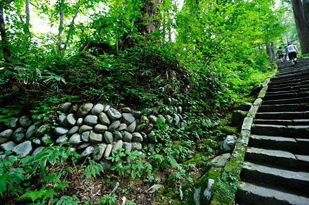 1108130840_DSC_4378
