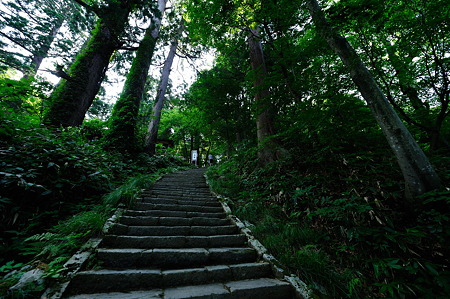 1108130842_DSC_4383