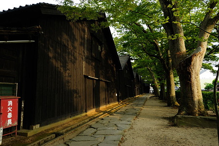 1108131729_DSC_5045