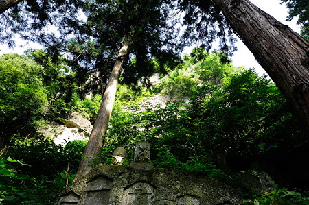 1108160907_DSC_7004