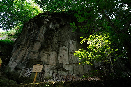 1108160913_DSC_7041
