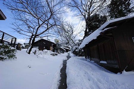 1101011353_DSC_6484