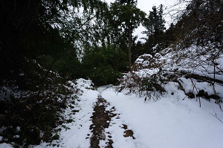 1101021231_DSC_7176