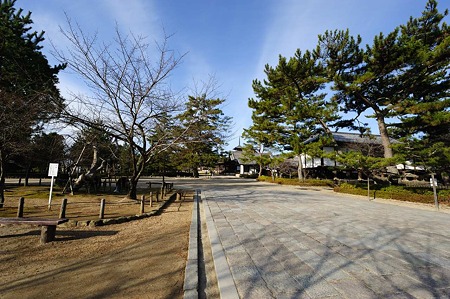 1101030920_DSC_7677