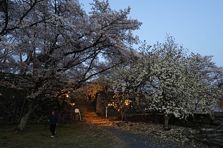 1104121845_DSC_9567